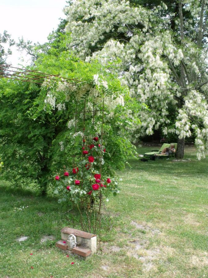 Les Hotes Landes Saint-Gor Екстер'єр фото