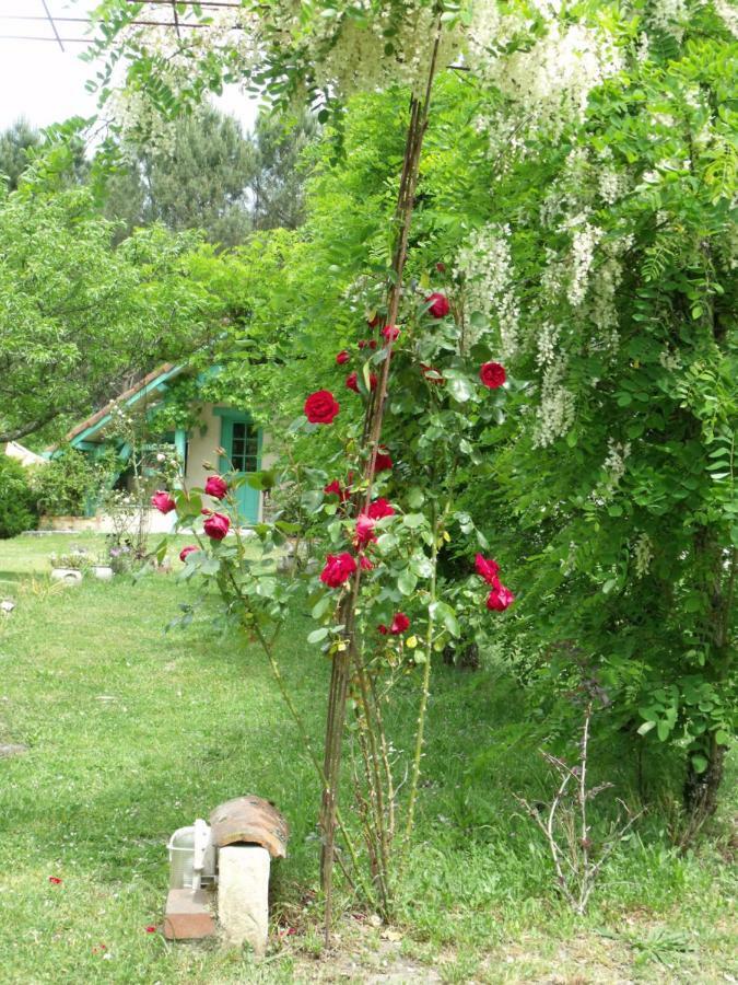 Les Hotes Landes Saint-Gor Екстер'єр фото